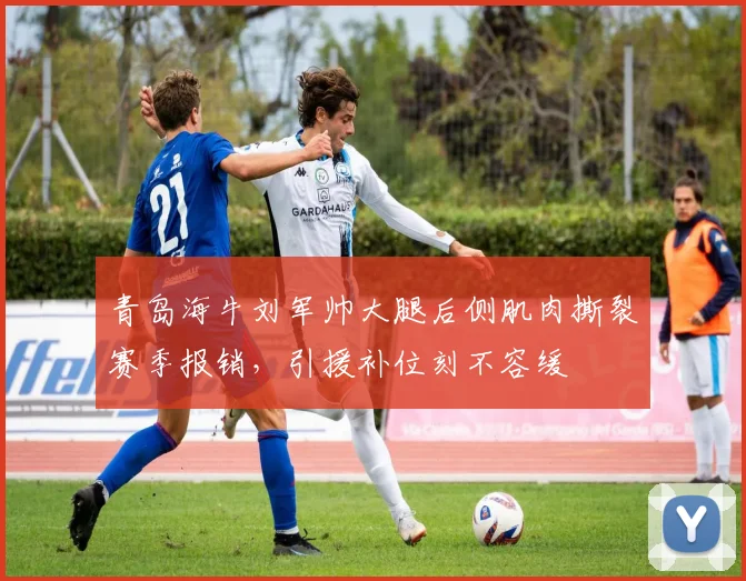 青岛海牛刘军帅大腿后侧肌肉撕裂赛季报销，引援补位刻不容缓